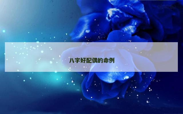 八字好配偶的命例
