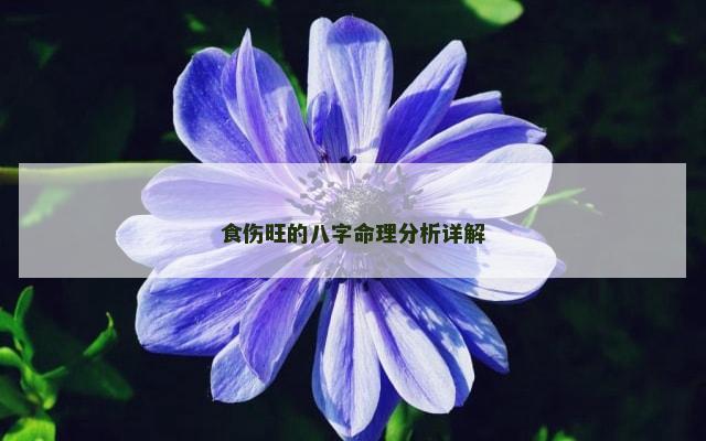 食伤旺的八字命理分析详解