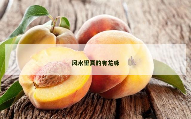 风水里真的有龙脉