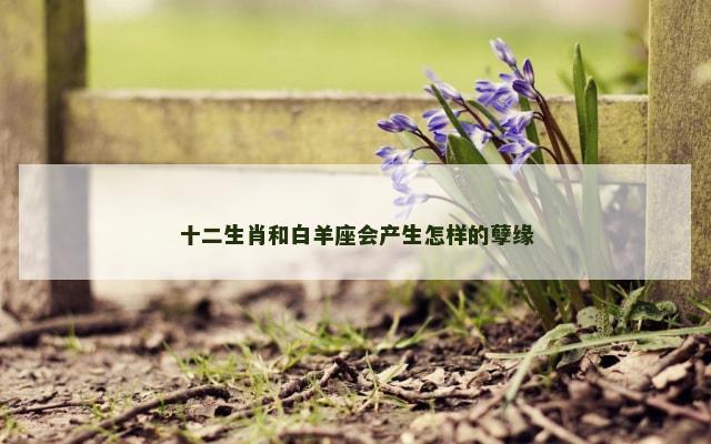 十二生肖和白羊座会产生怎样的孽缘