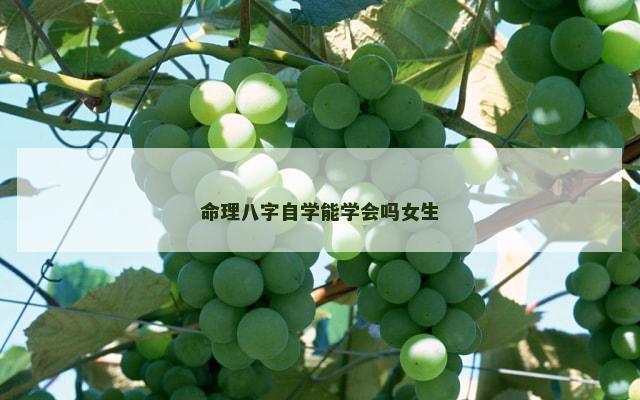 命理八字自学能学会吗女生