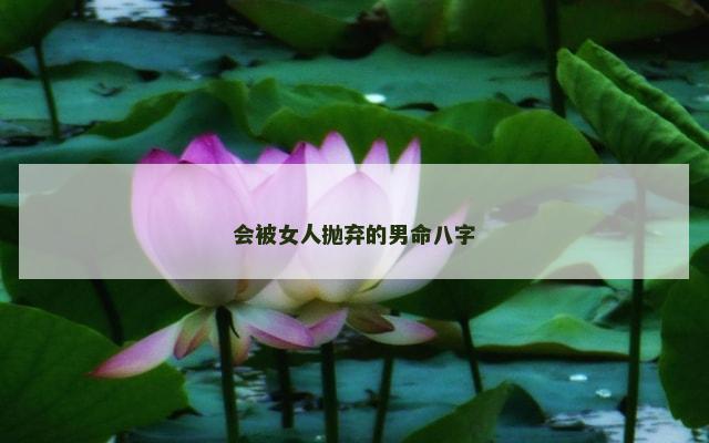 会被女人抛弃的男命八字