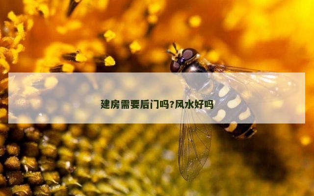 建房需要后门吗?风水好吗