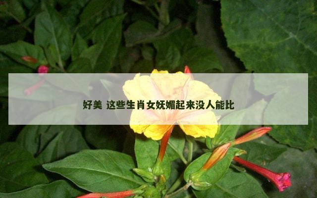 好美 这些生肖女妩媚起来没人能比