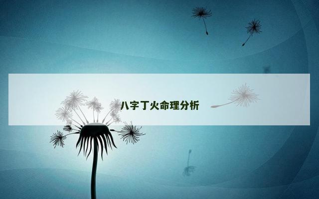 八字丁火命理分析