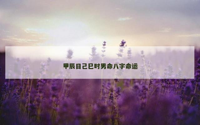 甲辰日己巳时男命八字命运