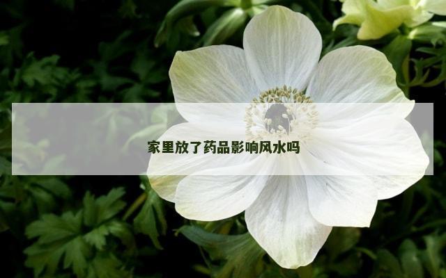 家里放了药品影响风水吗