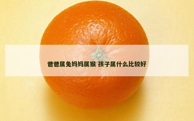 爸爸属兔妈妈属猴 孩子属什么比较好