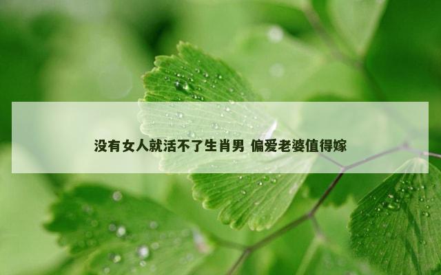 没有女人就活不了生肖男 偏爱老婆值得嫁