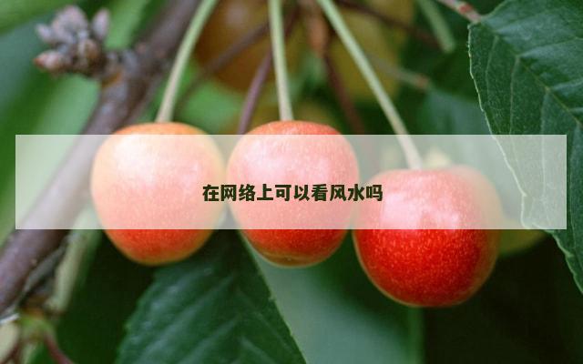 在网络上可以看风水吗