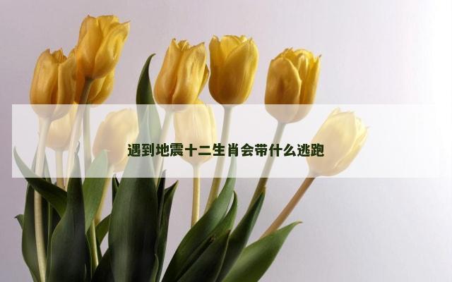 遇到地震十二生肖会带什么逃跑