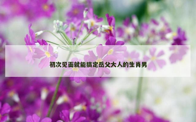 初次见面就能搞定岳父大人的生肖男