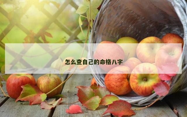 怎么查自己的命格八字