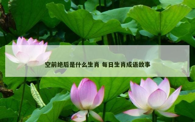 空前绝后是什么生肖 每日生肖成语故事