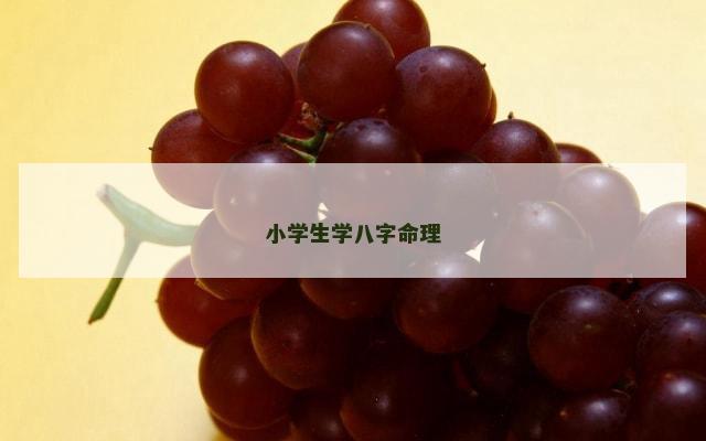 小学生学八字命理