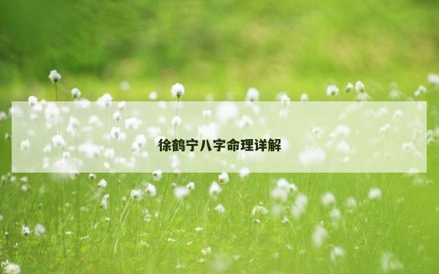 徐鹤宁八字命理详解