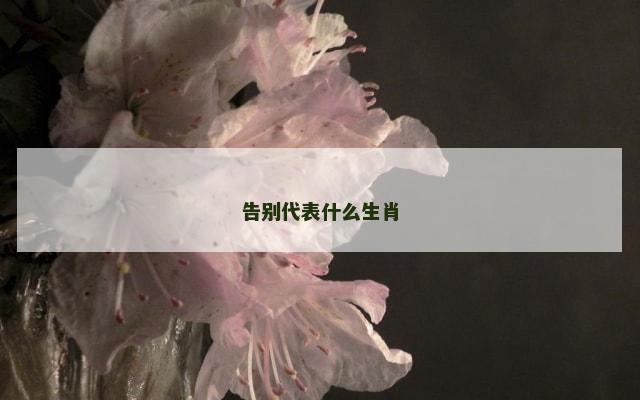 告别代表什么生肖