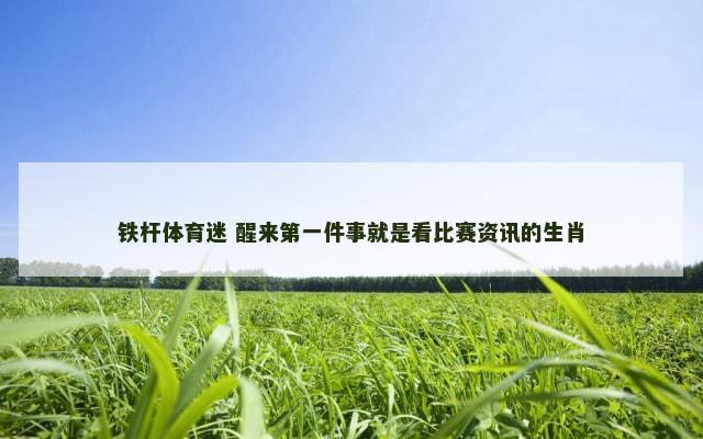铁杆体育迷 醒来第一件事就是看比赛资讯的生肖