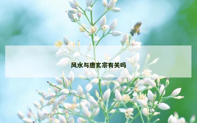 风水与唐玄宗有关吗
