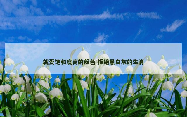 就爱饱和度高的颜色 拒绝黑白灰的生肖