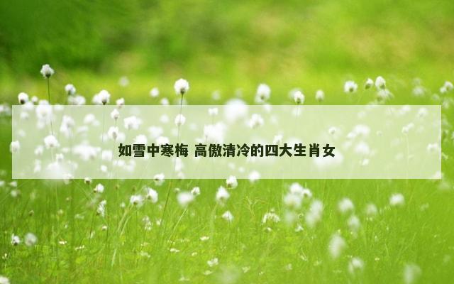 如雪中寒梅 高傲清冷的四大生肖女
