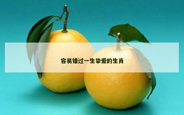 容易错过一生挚爱的生肖