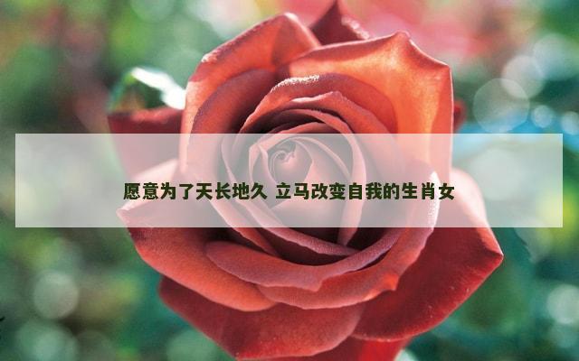 愿意为了天长地久 立马改变自我的生肖女