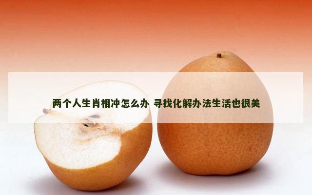 两个人生肖相冲怎么办 寻找化解办法生活也很美