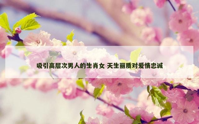 吸引高层次男人的生肖女 天生丽质对爱情忠诚