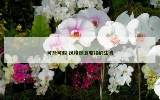 可盐可甜 风格随意变换的生肖