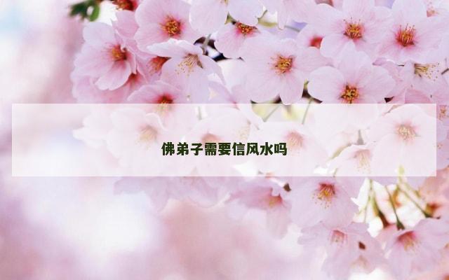 佛弟子需要信风水吗