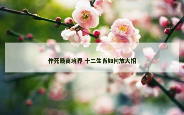 作死最高境界 十二生肖如何放大招
