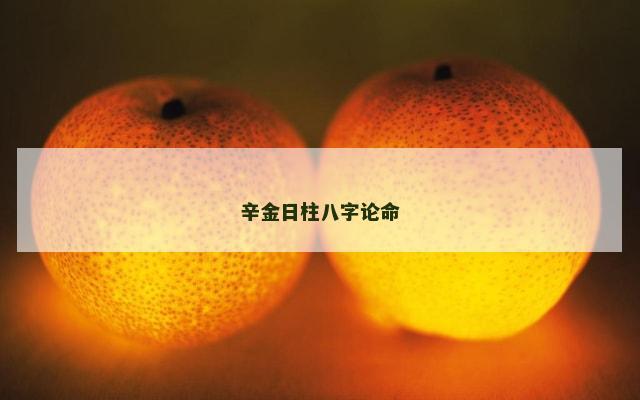 辛金日柱八字论命