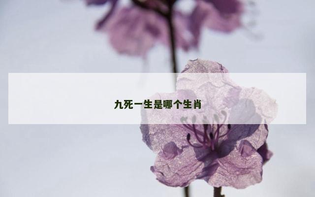 九死一生是哪个生肖