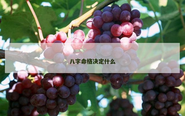 八字命格决定什么