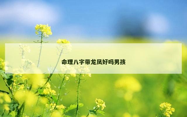 命理八字带龙凤好吗男孩