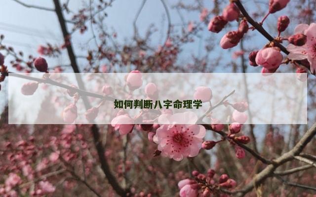 如何判断八字命理学
