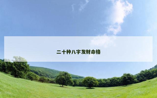 二十种八字发财命格