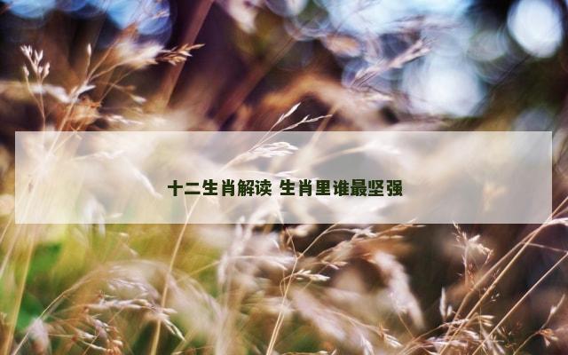 十二生肖解读 生肖里谁最坚强