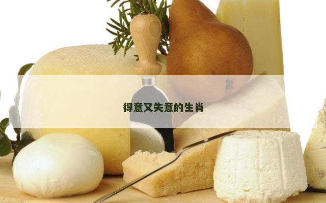 得意又失意的生肖