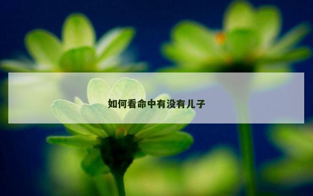 如何看命中有没有儿子