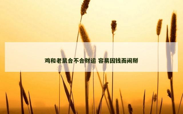 鸡和老鼠合不合财运 容易因钱而闹掰