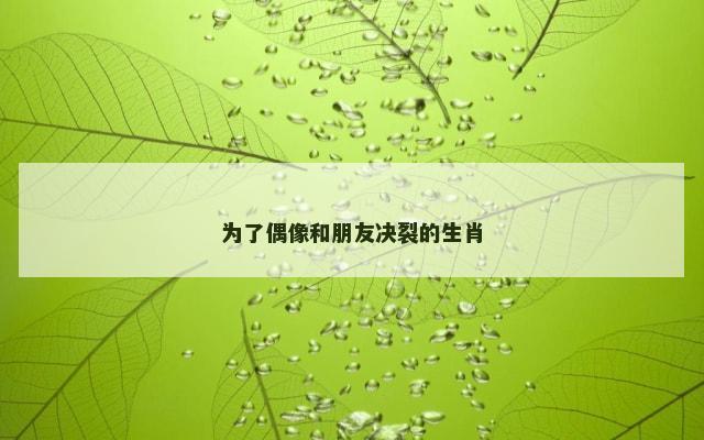 为了偶像和朋友决裂的生肖