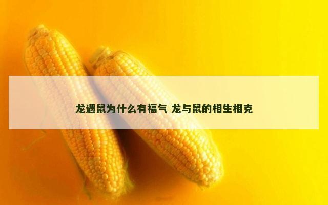 龙遇鼠为什么有福气 龙与鼠的相生相克