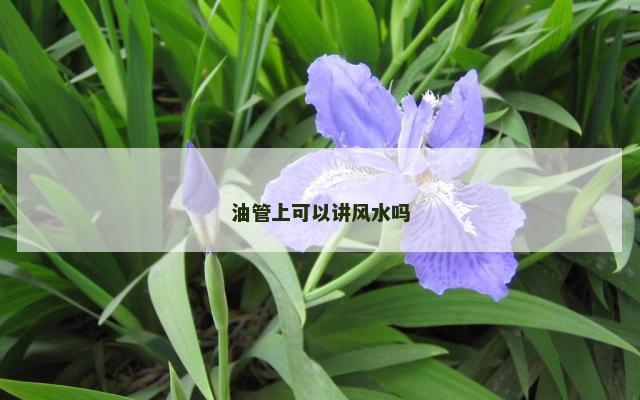 油管上可以讲风水吗