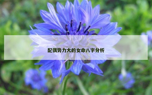 配偶势力大的女命八字分析
