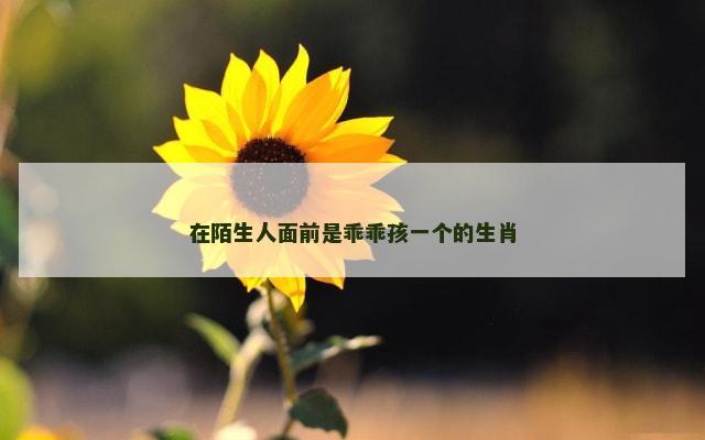 在陌生人面前是乖乖孩一个的生肖