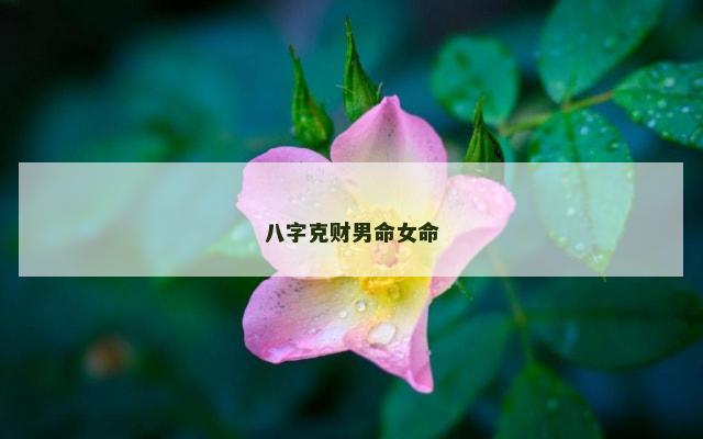 八字克财男命女命