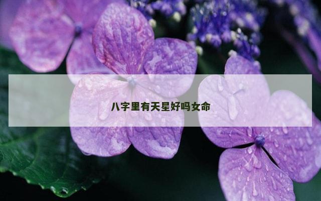 八字里有天星好吗女命