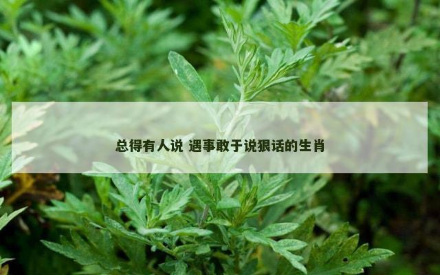 总得有人说 遇事敢于说狠话的生肖